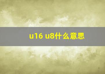 u16 u8什么意思